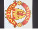 Manchester United Soccer Team!