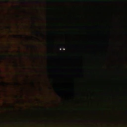 Nightmare house