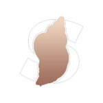 Seashells Premade + Customs