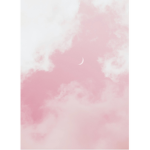 Rose Cherries Clothing