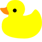 Lone Duck