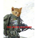 THE MEOW SOLDIERS