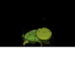 TURTLE FAN GROUP AND FRIENDS