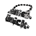 ellie & nick necklace 3.0