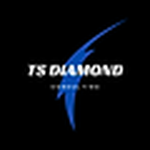 TSD Studios
