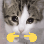 uwucats69