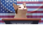 MEMERS UNITE REEEEEEE
