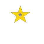 Emergency Services, Cook County