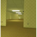 [- Backrooms -]