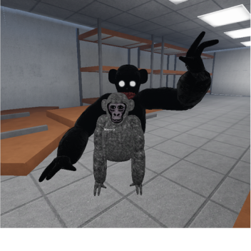 Kong Paradox (LEVEL 3)