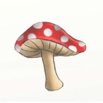 Mushrooom Gang