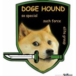 doggo assassin's