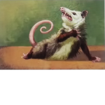 The Royal Possums