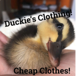 Duckie's Clothing!