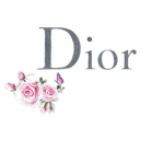 ..DIOR..