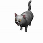 Kittys & Cats United
