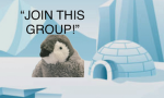 (~PENGUINS~)