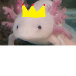 Axolotl Sanctuary