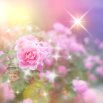 - The Daisy Team -