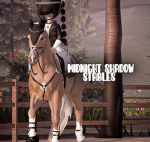 Midnight Shadow Stables