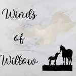 * Winds Of Willow Equestrian *