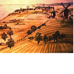 Camp Fiji