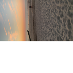 Roblox.Erdbeere