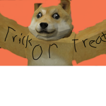 Doge party :DD