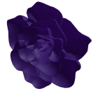 Chrono's Personal Pin