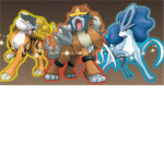 The Shiny Pokemon Finders