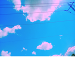 베리의 world
