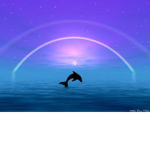Tsunami Dolphins