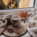 Cozy Fall Vibes