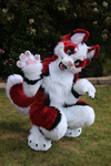 Furry groupe de eloane