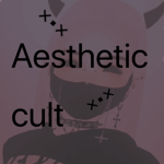 aesthetic cult clothing
