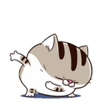 cvkmax