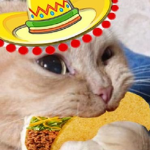 Salsa Sippers