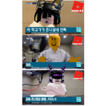토마토의 평범한 그룹