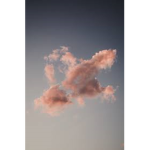 ari's cloudys