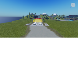 Group race