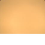 Reid’s Stars