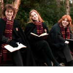 •Harry Potter• || HP