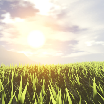 field 