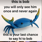 Bob is a cool crab club