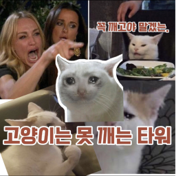 고양이는 못 깨는 타워