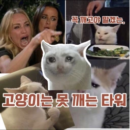 고양이는 못 깨는 타워 icon