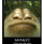 Goofyahmonkey