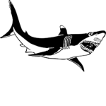 Shark Records