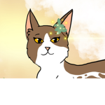 - Warrior cats RPs! -
