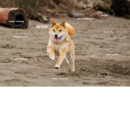 Doggo Run
